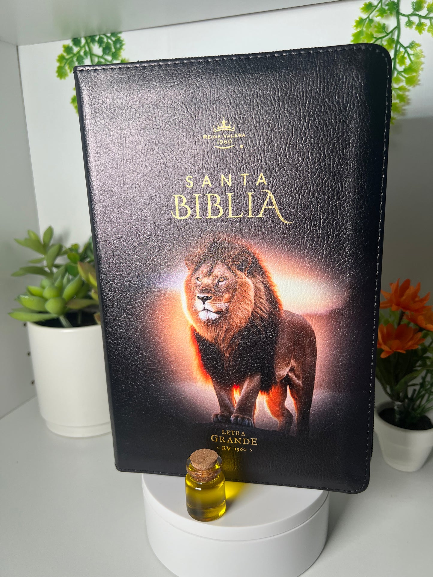 Biblia Letra Grande 12 puntos con Cierre RV1960 Concordancia Amplia negro con indice con leon en pie