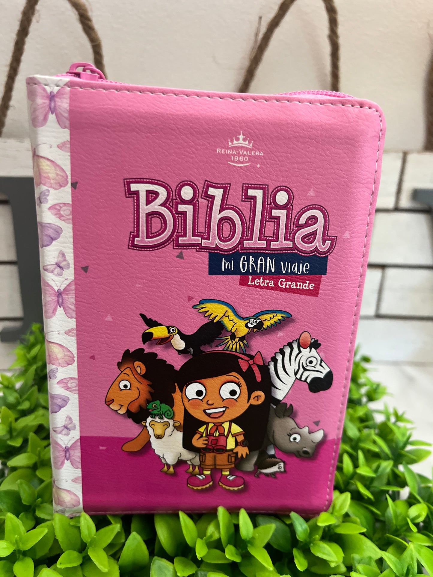 Biblia mi gran viaje Reina Valera 1960 perfecta para niñas letra grande