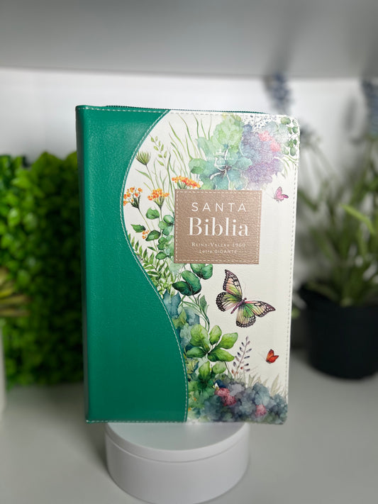 Biblia para Mujeres Letra Gigante Manual 14 puntos con Cierre Reina Valera 1960 mariposas