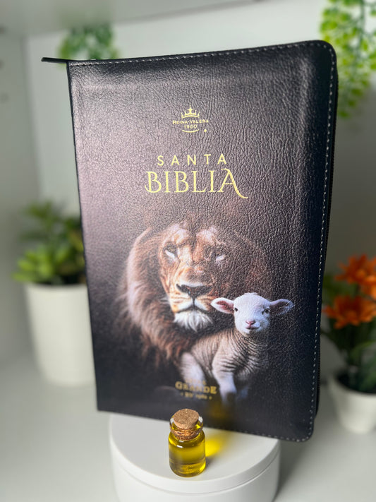 Biblia Aguila Letra Grande 12 puntos con Cierre RV1960 Concordancia Amplia negro con indice - León y cordero