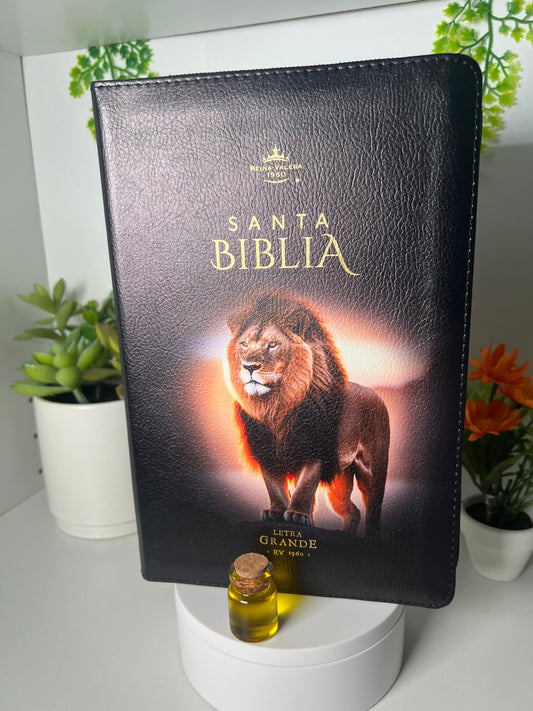 Biblia Letra Grande 12 puntos con Cierre RV1960 Concordancia Amplia negro con indice con leon en pie