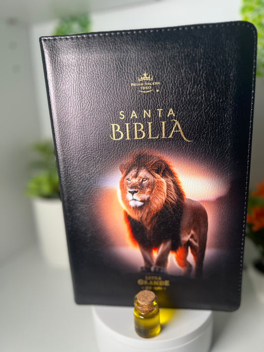 Biblia Letra Grande 12 puntos con Cierre RV1960 Concordancia Amplia negro con indice con leon en pie