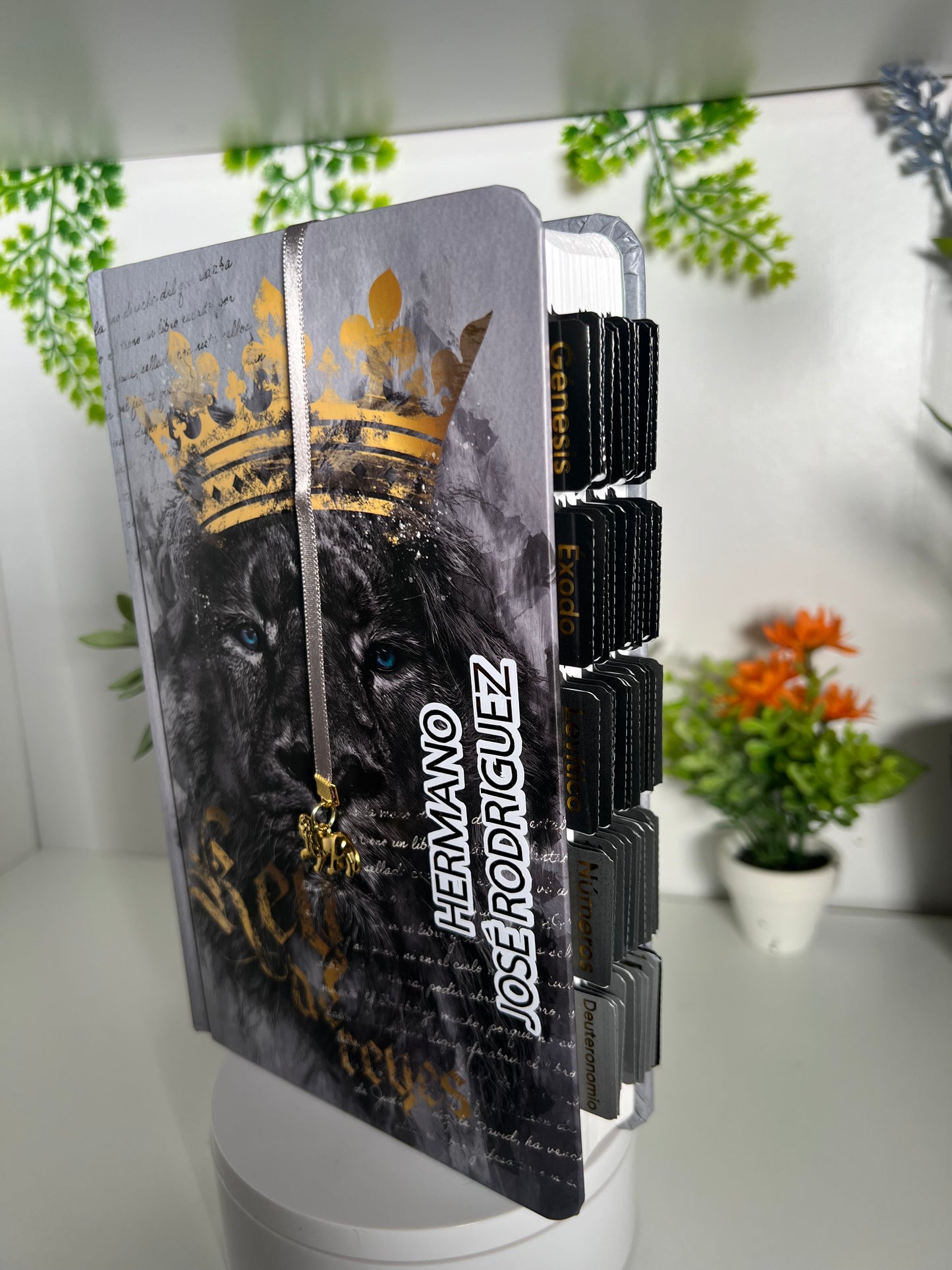 Biblia RVR60 letra grande tamaño manual, tapa dura León Rey de Reyes