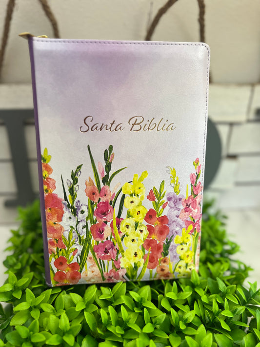 Biblia tradicional y verdadera reina Valera 1960 edición limitada