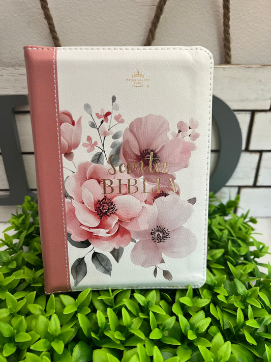 Biblia Reina Valera 1960 tamaño portátil