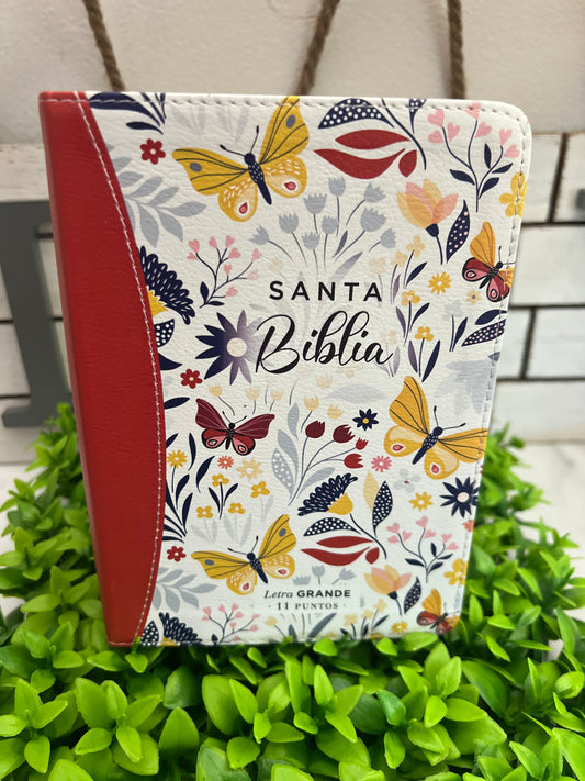 Biblia Reyna Valera 1960 compacta de 11 puntos