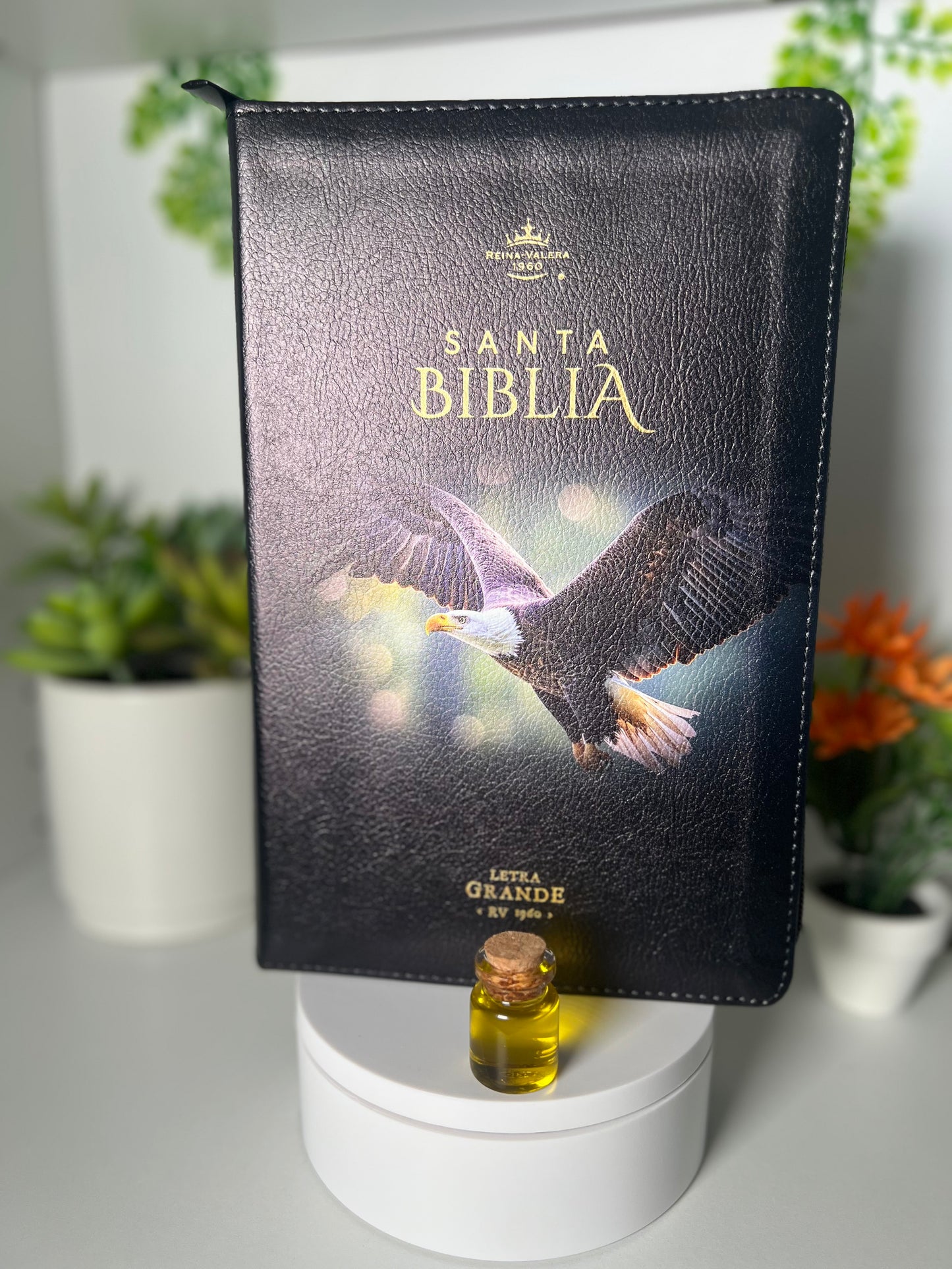 Biblia Aguila Letra Grande 12 puntos con Cierre RV1960 Concordancia Amplia negro con indice - aguila volando