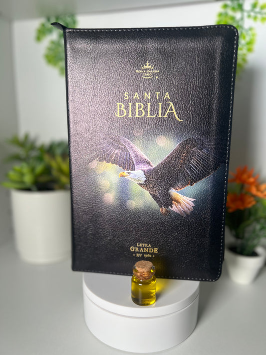 Biblia Aguila Letra Grande 12 puntos con Cierre RV1960 Concordancia Amplia negro con indice - aguila volando
