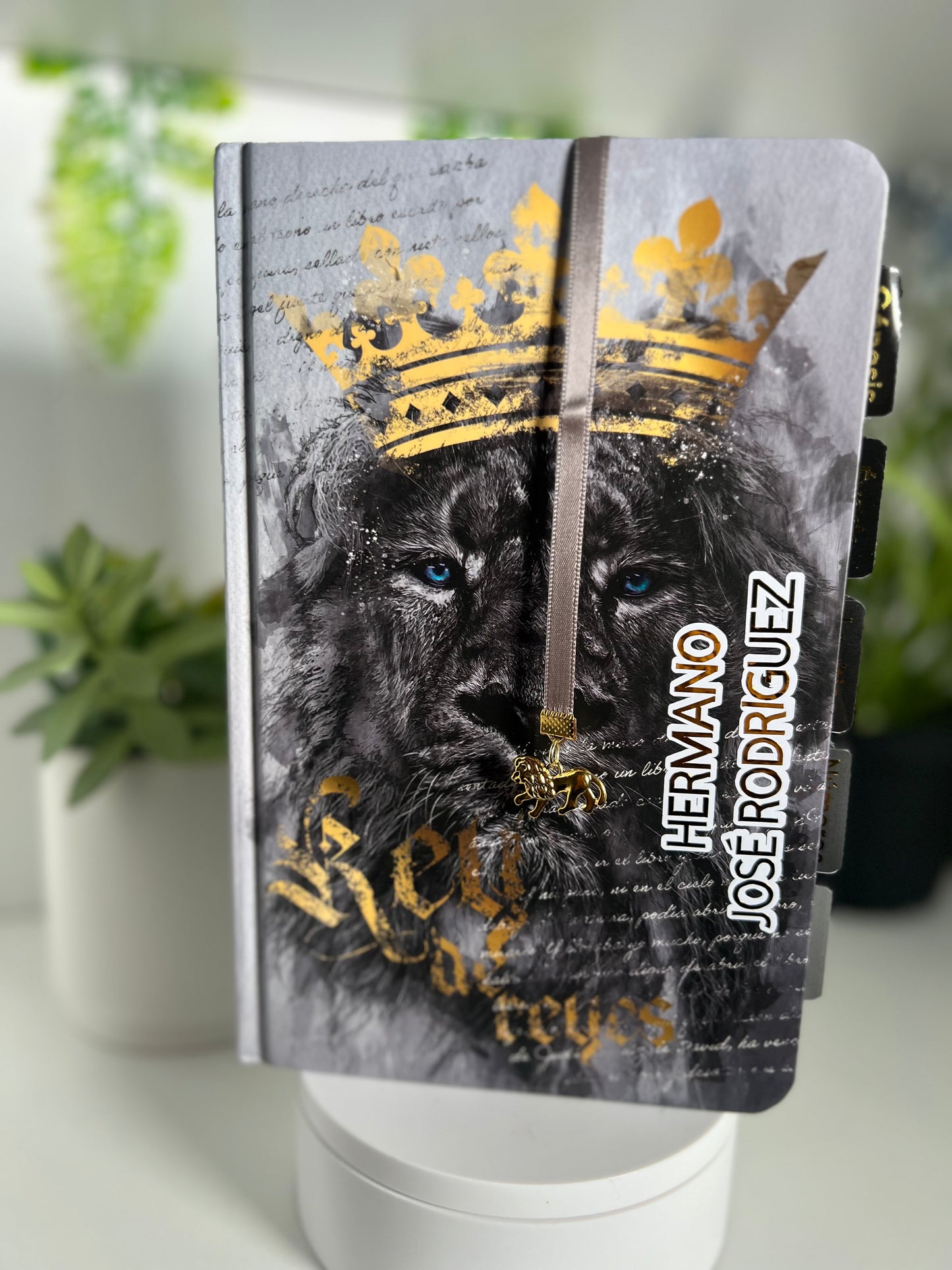 Biblia RVR60 letra grande tamaño manual, tapa dura León Rey de Reyes