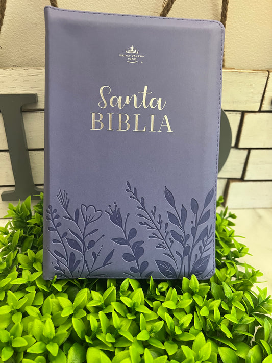 Reina Valera 1960 letra gigante de 14 puntos